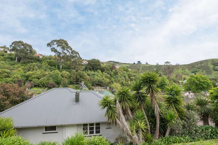 41 Murphy Street Toi Toi_14