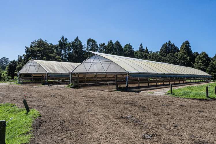 731 Puhipuhi Road Whakapara_16