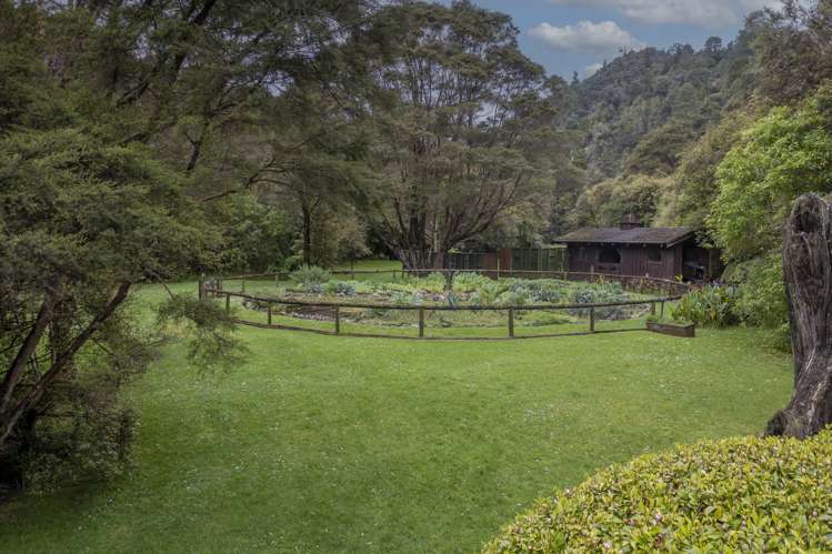 586 Tapu Coroglen Road Coromandel Forest Park_15