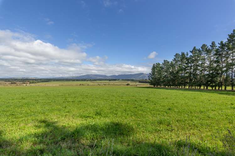 345 Summerhill Road Cust_8