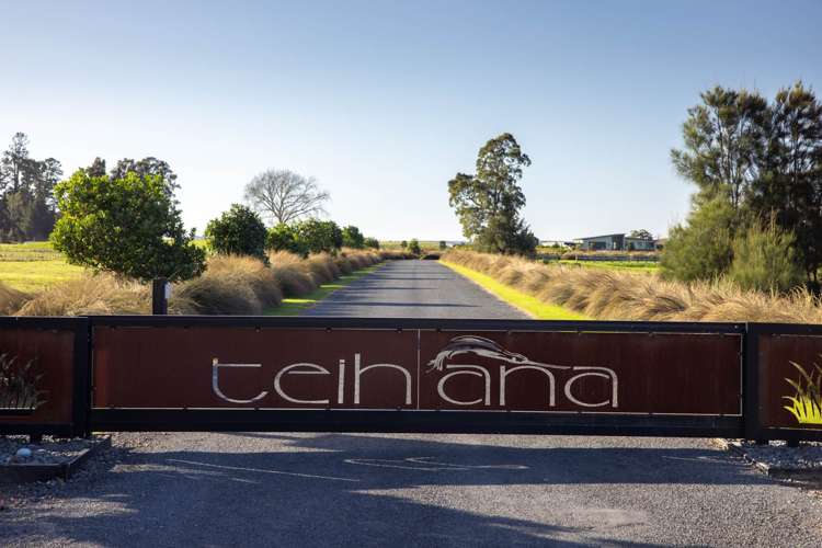 18 Te Ara O Tahataharoa Te Puna_1