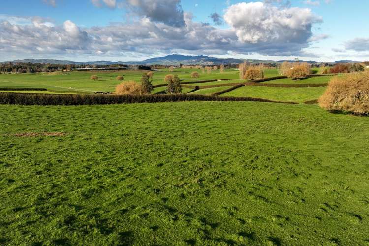 Picquet Hill Road Te Awamutu_11