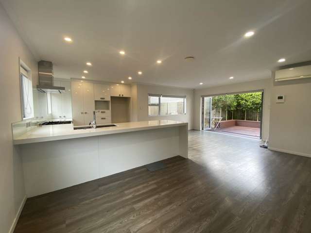 45 Ellis Avenue Mt Roskill_3