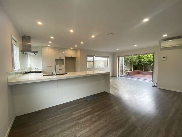 45 Ellis Avenue Mt Roskill_3