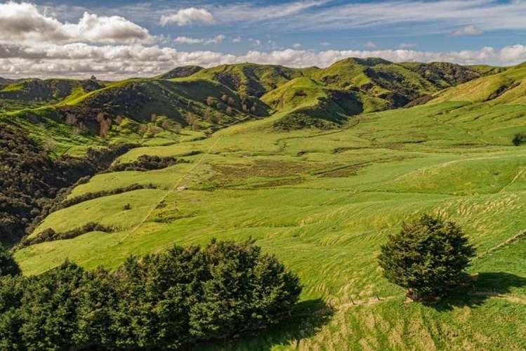 134 Bowen Road Eketahuna_0