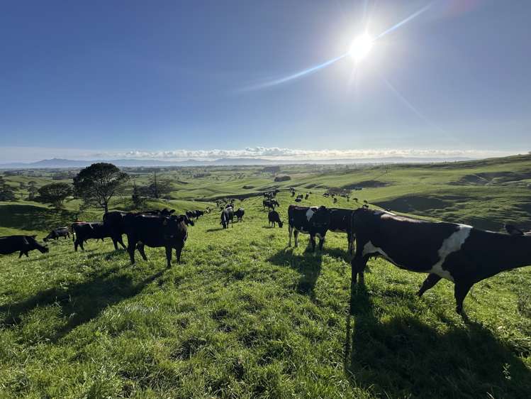 258 Paratu West Road Richmond Downs_16