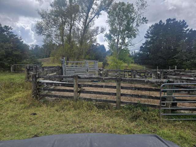 58 Kauaepepe Road Mangamuka_3