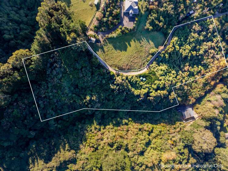 31 Tui Street Saint Leonards_6