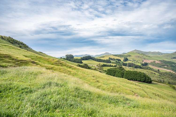 350 Pigeon Bay Road Pigeon Bay_11