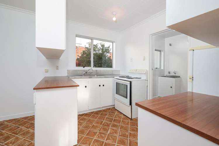 3 Beatty Street Waverley_8