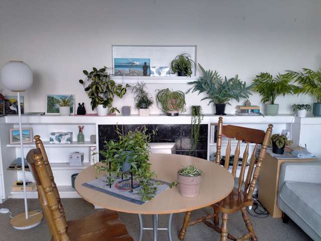 112B Grafton Road Roseneath_4