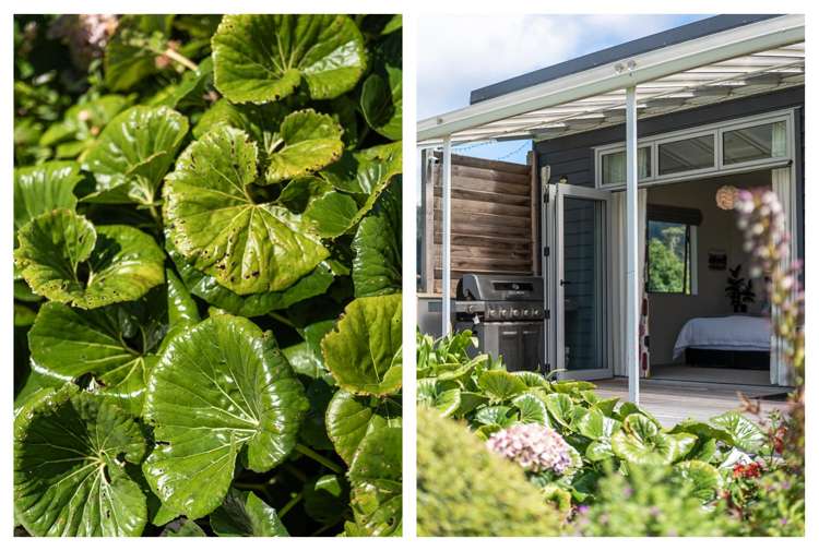 38 Tanners Point Road Tanners Point_42