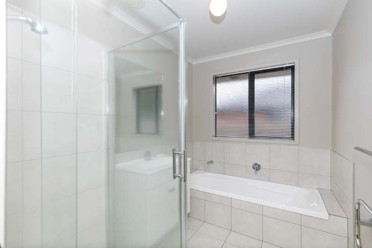 206 Daphne Street Te Awamutu_14