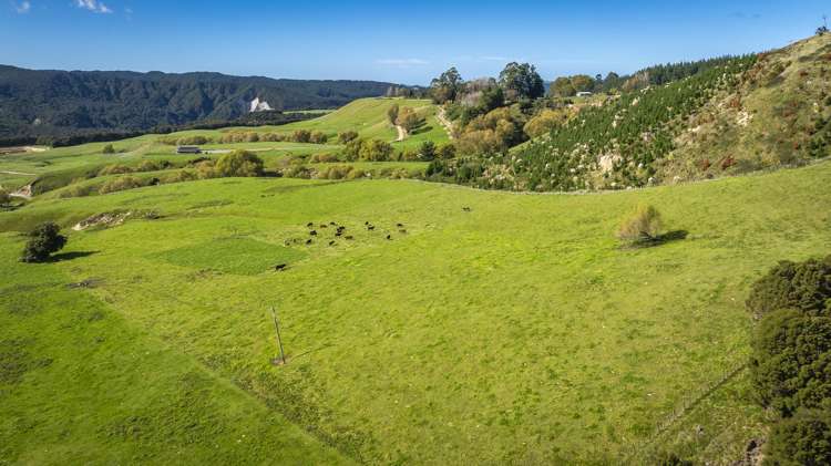 888 Kakariki Farm Road Kotemaori_23