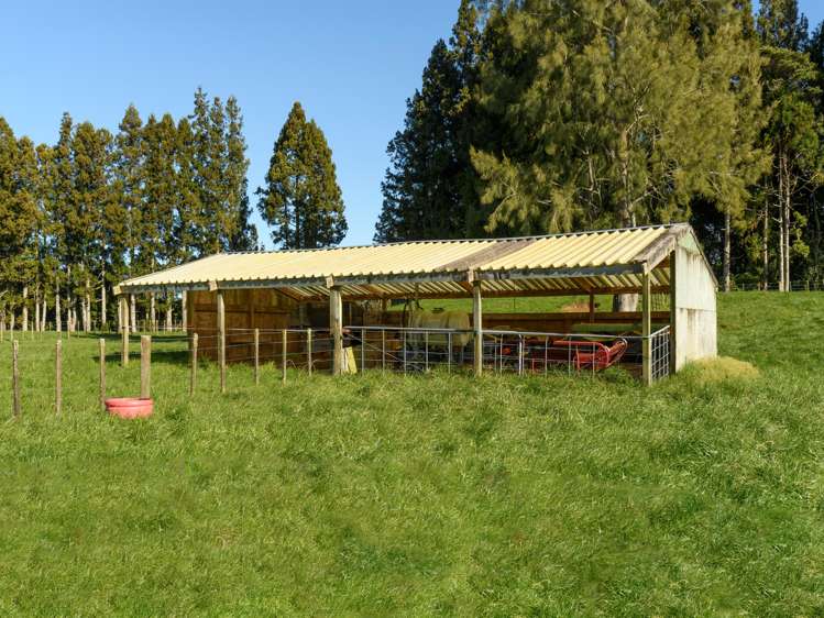 1128d Omanawa Road Kaimai_7