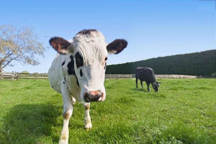 207b Peers Road Omanawa_5