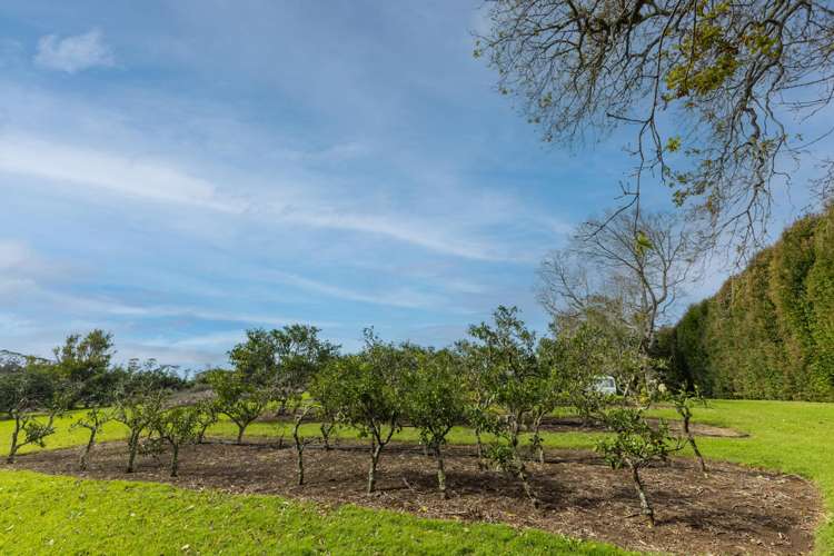 17 Maraenui Drive Kerikeri_10