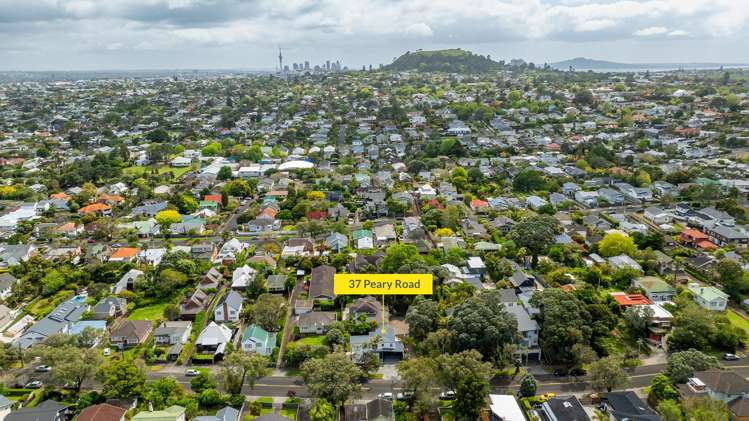 37 Peary Road Mount Eden_17