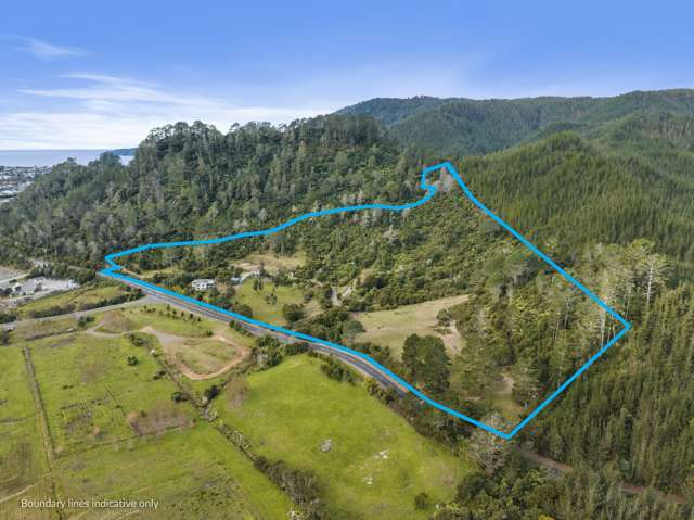 896a Hikuai Settlement Road Pauanui_4