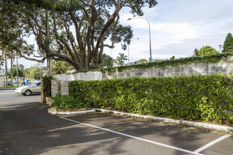 14/72 Kitchener Road Milford_10