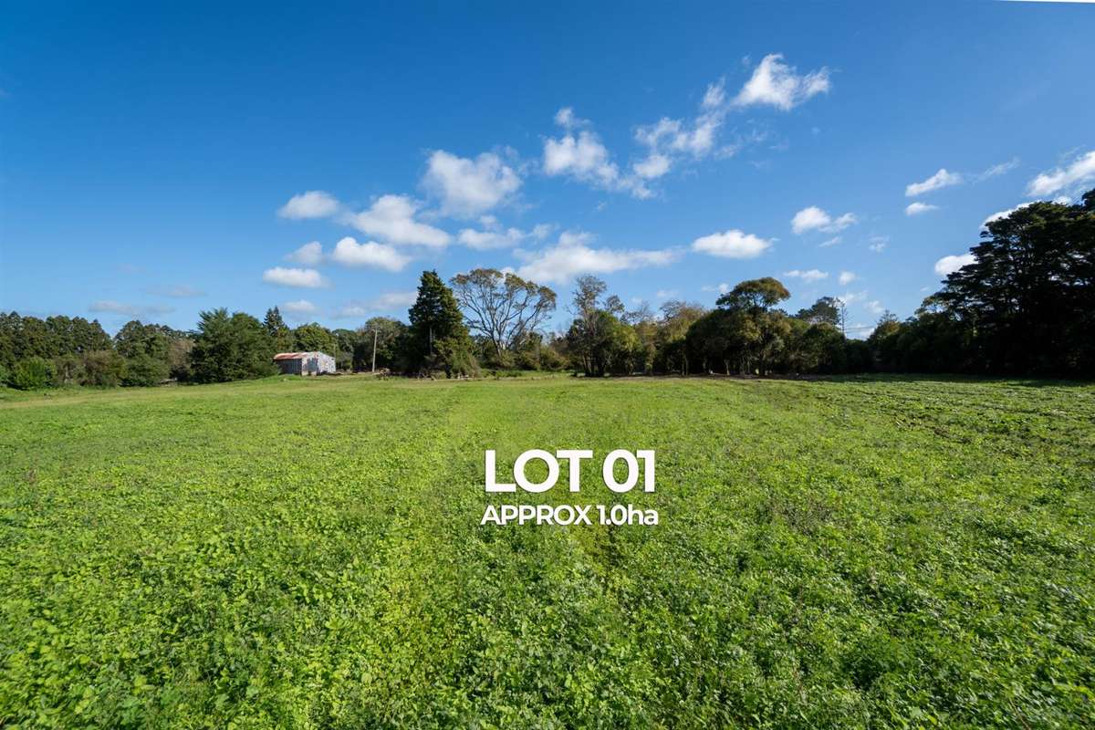 Lot 2 Access Road_1