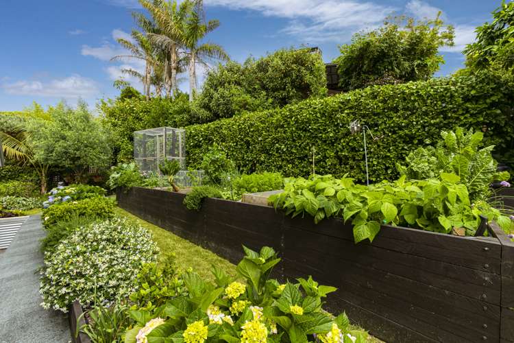 29 Korotaha Terrace Rothesay Bay_12