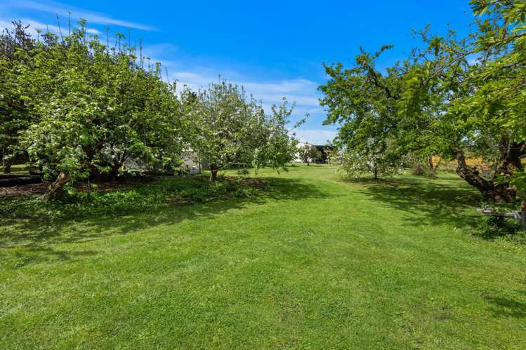 43a Grayden Road Morrinsville_4