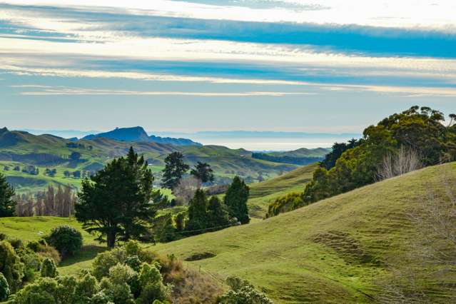 1275 Maraetotara Road Central Hawkes Bay Coastal_1