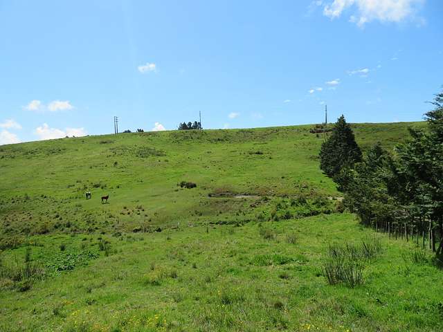 Lot 5 Okahu Downs Drive Kaitaia_4