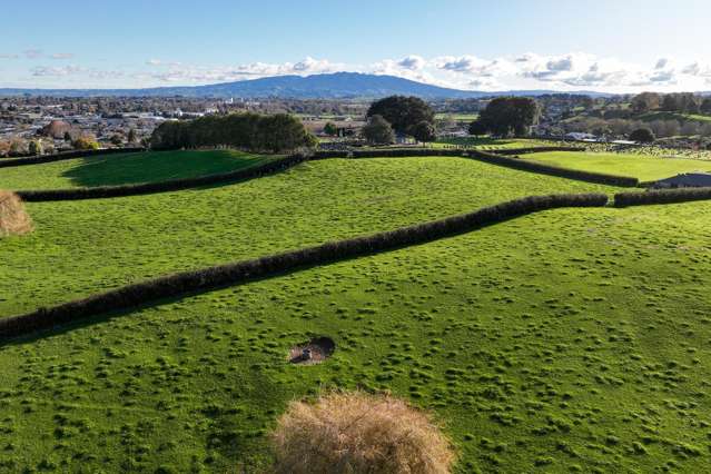 Picquet Hill Road Te Awamutu_2