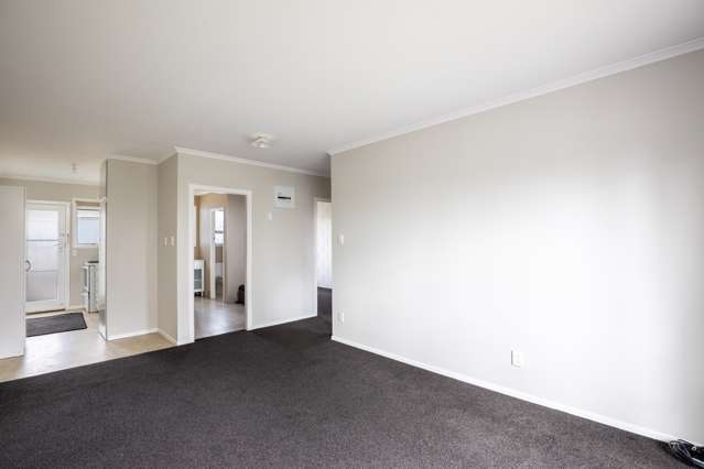 3/289D Carrington Street Vogeltown_3