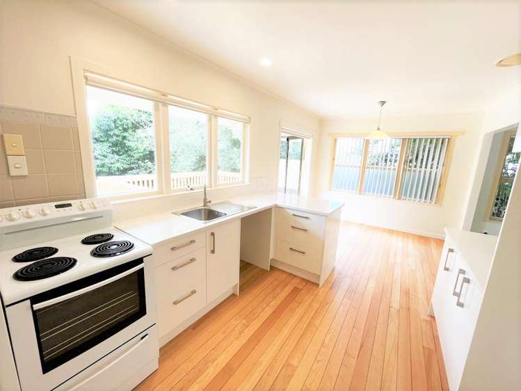 16 Andrew Road Howick_2