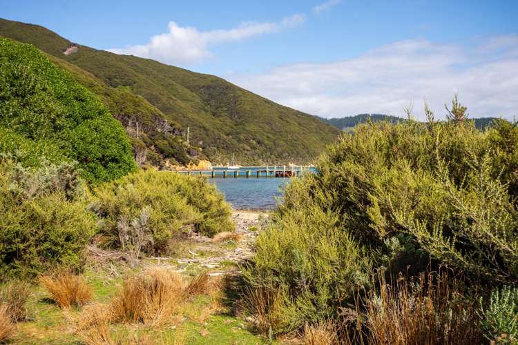 Lot 4 + 5 Te Aroha Bay, Otanerau Bay Marlborough Sounds_68