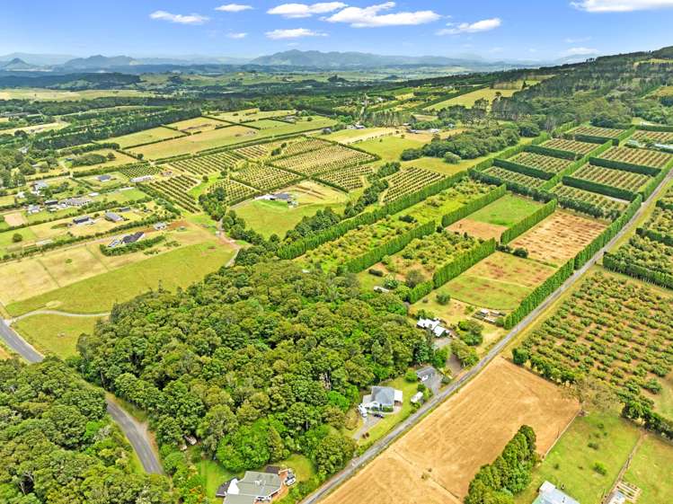 48 Whatitiri Road Maungatapere_15