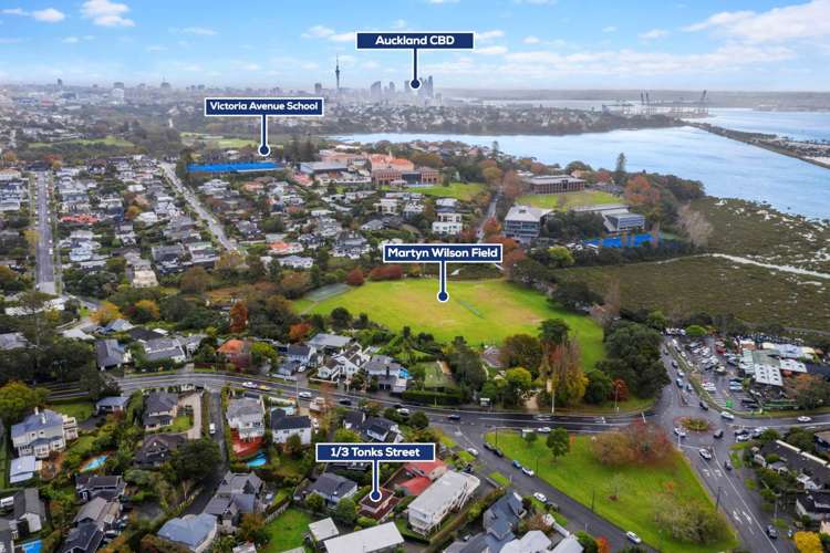 1/3 Tonks Street Remuera_13