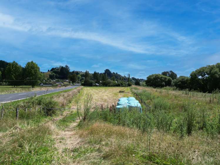 State Highway 41 Taumarunui_3