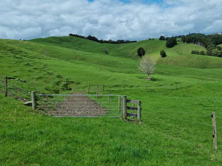 1906 Pukehuia Road Arapohue_18