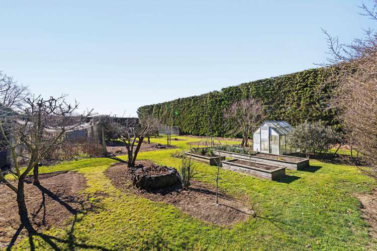 239 Earlys Road West Eyreton_15
