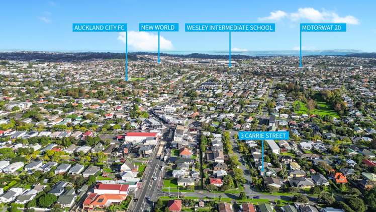 3 Carrie Street Sandringham_45