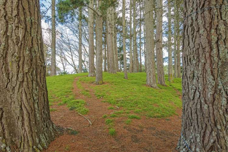 831 Taikorea Road Glen Oroua_15