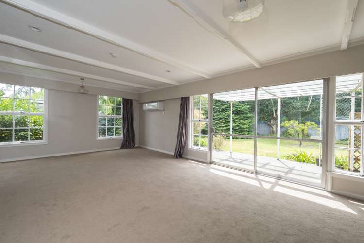 10 Queens Drive Allenton_3