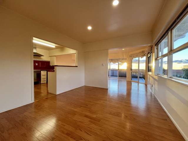 117 Bradbury Road Botany Downs_1