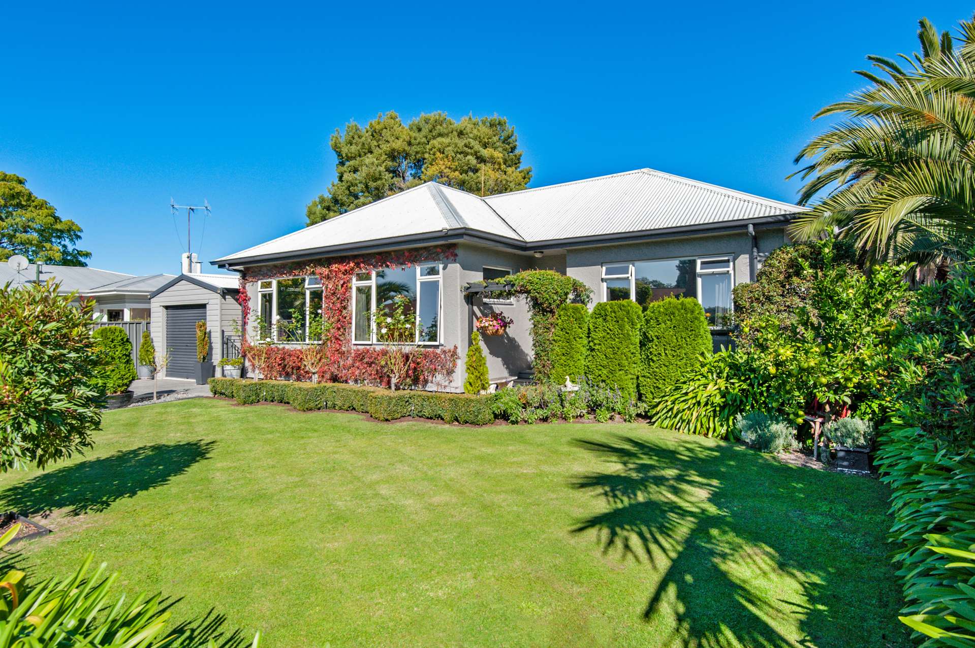 702 Southampton Street West Saint Leonards_0