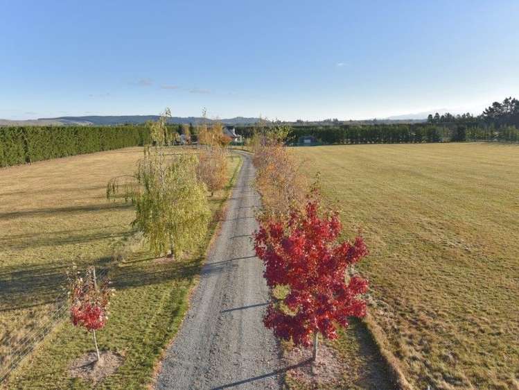 315 Foothills Road Okuku_13