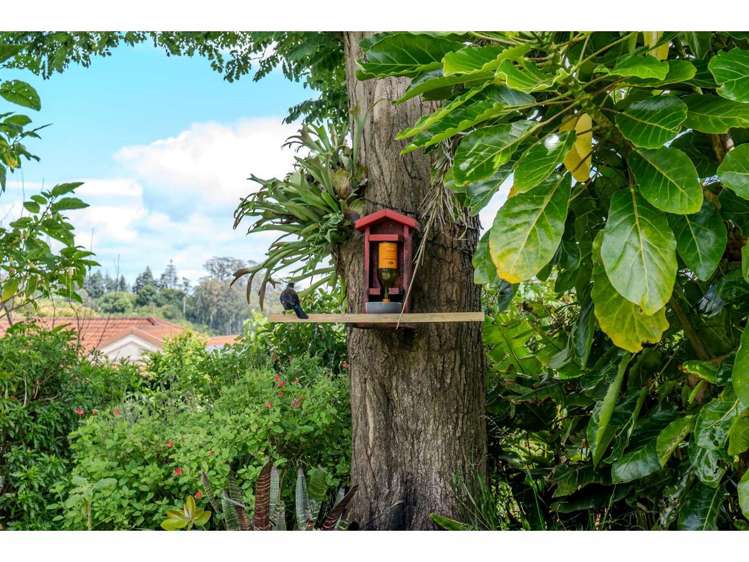 17 Pickmere Lane Kerikeri_23