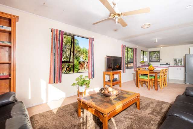 39 Hassan Drive Massey_4