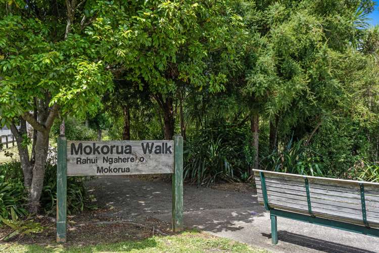 67 White Horse Drive Whakatane_34