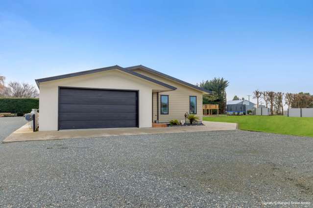31 Hereford Street Riversdale_4