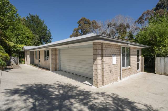 20 Waiorakei Way Welcome Bay_2