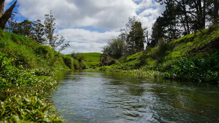 3629 State Highway 2 and Coxhead Road Mangatarata_2